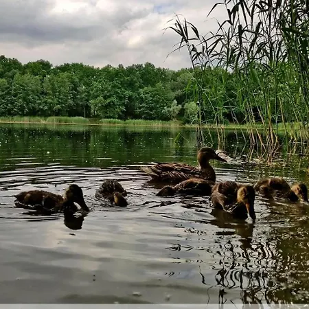 Neoapartments Lotnicza 公寓