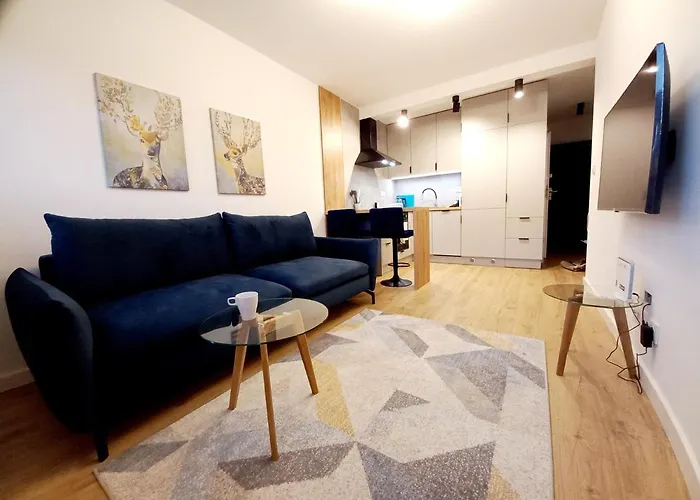 Neoapartments Lotnicza Apartment *