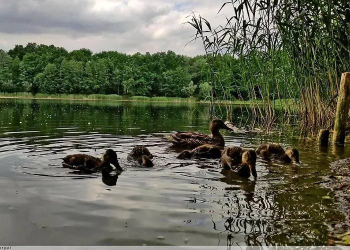 Neoapartments Lotnicza Apartment